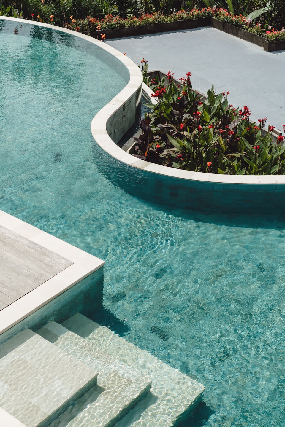 Piscina curva con acqua blu e piante tropicali.