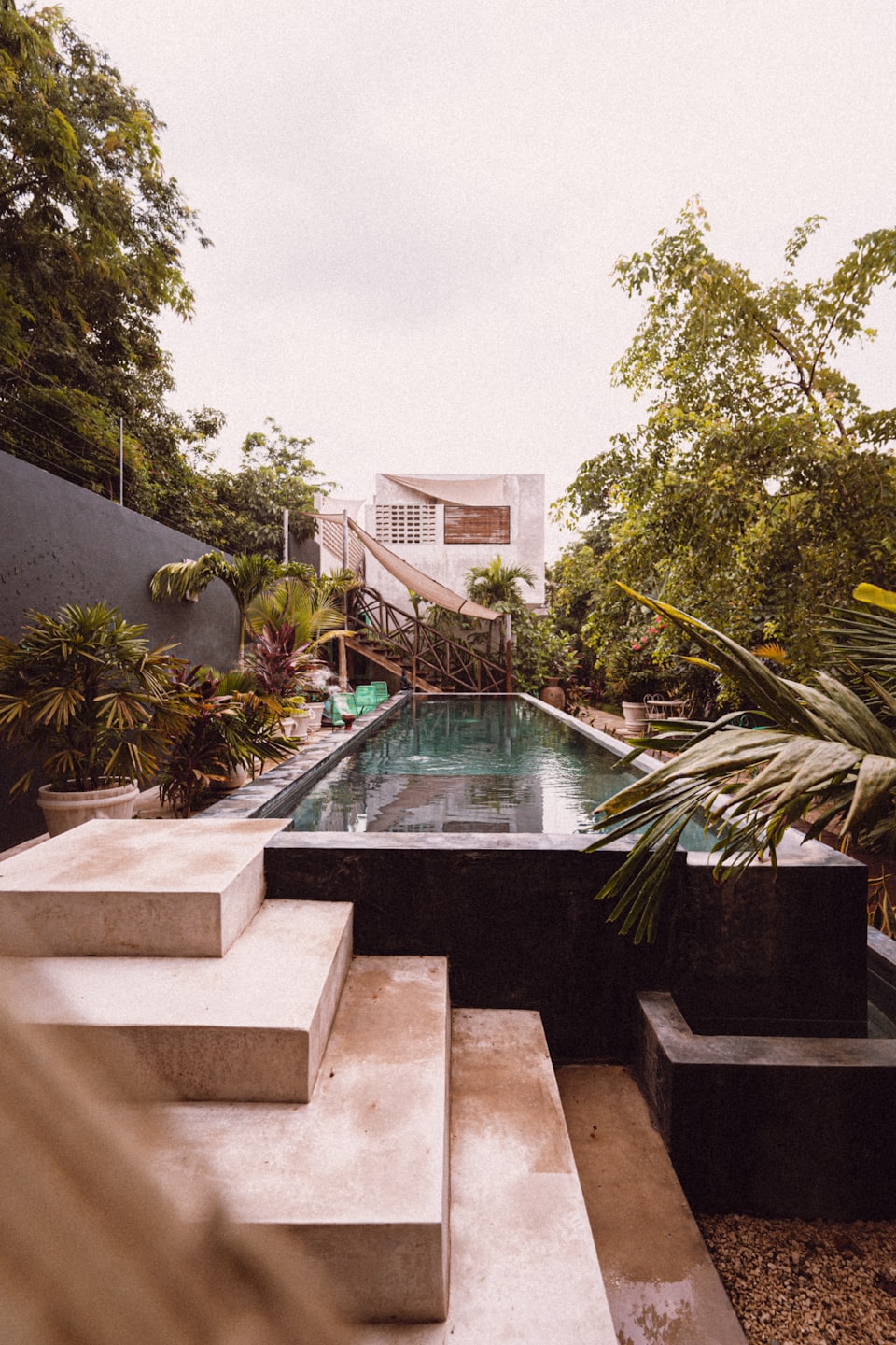 Piscina circondata da piante tropicali e architettura moderna in cemento.